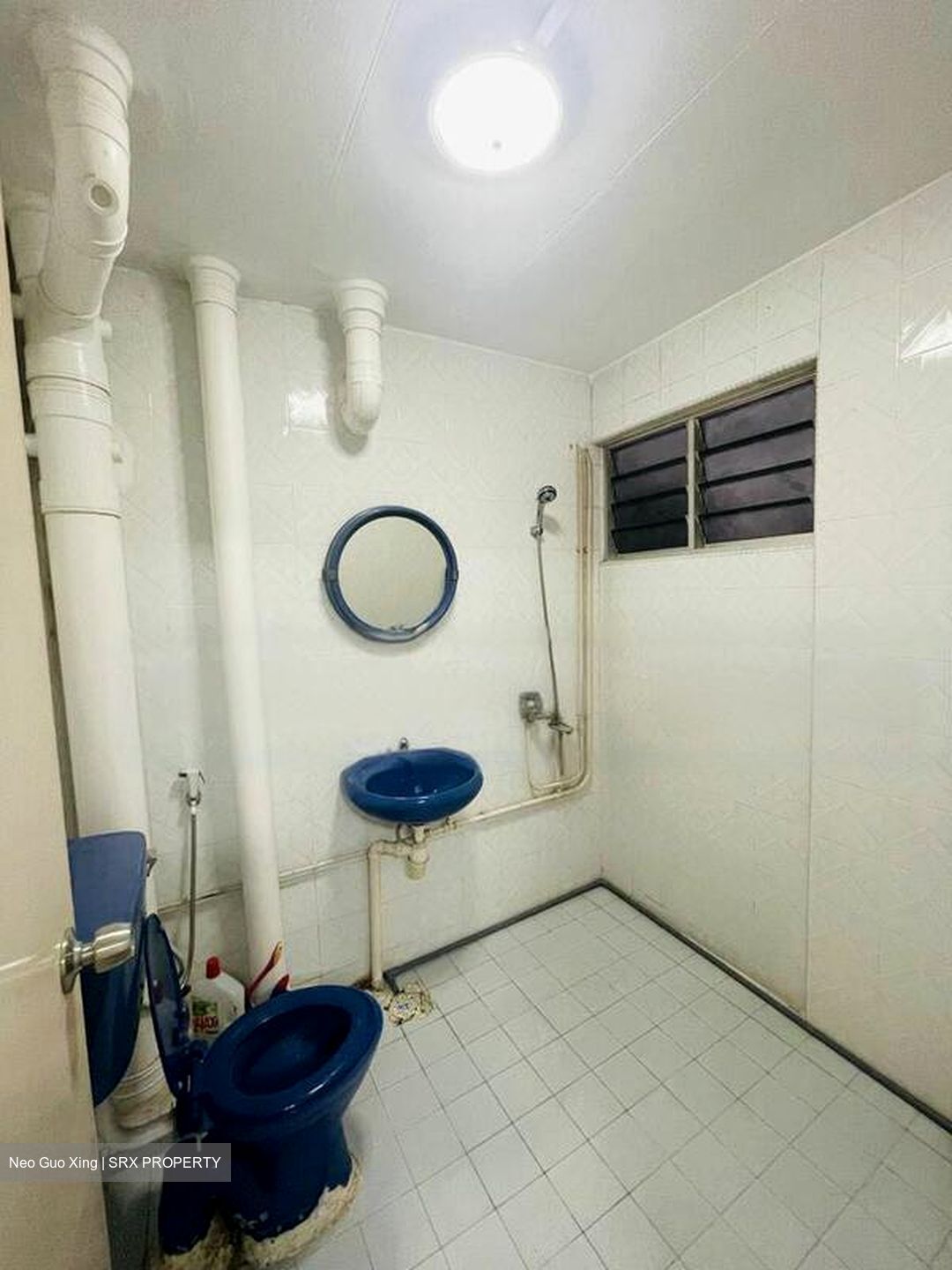 Spottiswoode Park (D2), Apartment #459053911